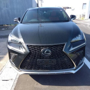 Lexus NX300 2018