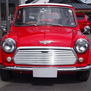 Rover Mini 1996