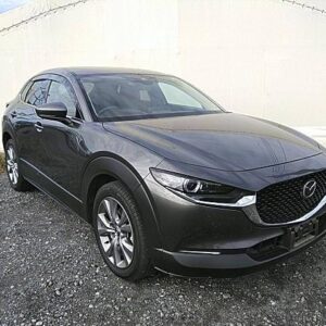 Mazda CX-30 2019
