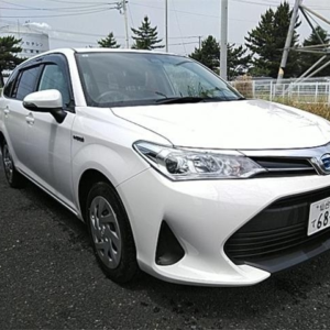 Toyota Corolla Fielder 2019 (Retained)